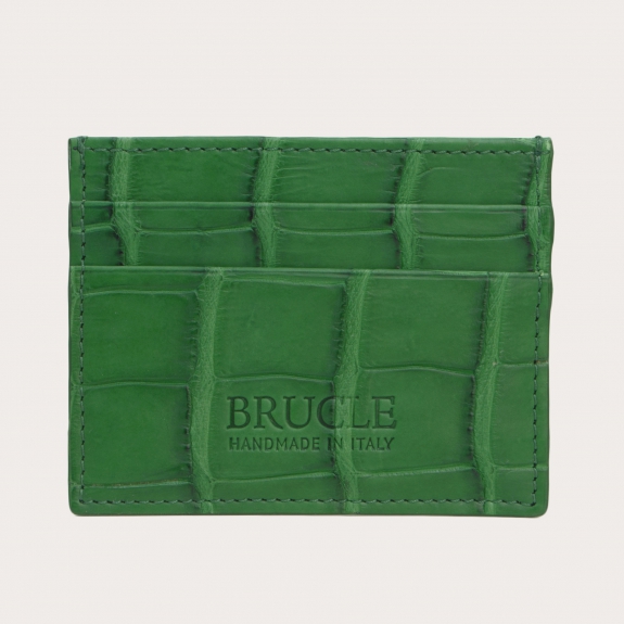 Brucle Kreditkartenetui alligator leder blau grün