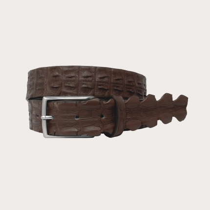 Genuine crocodile tail leather belt, dark brown