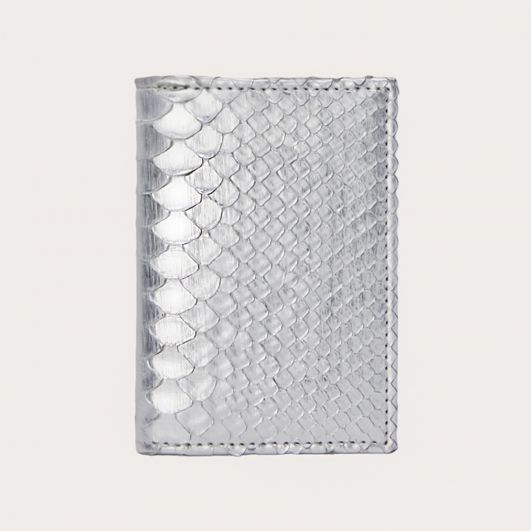 Porte-cartes de crédit en python, argent peint à la main