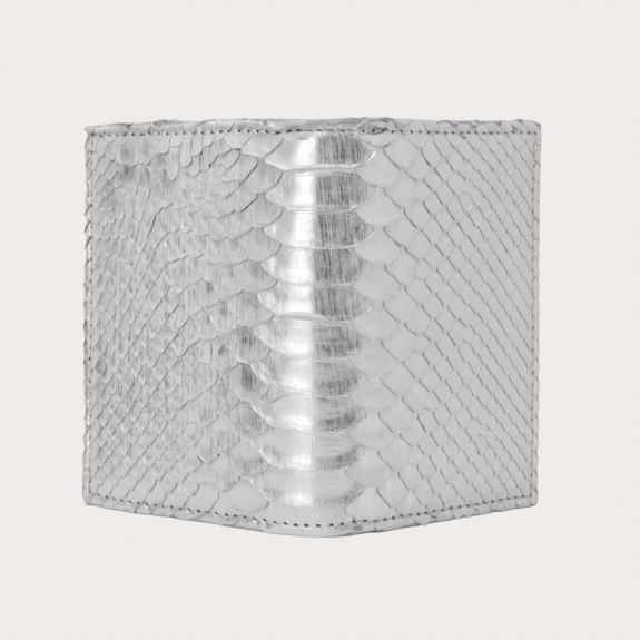 BRUCLE Python credit card holder, hand-painted silver