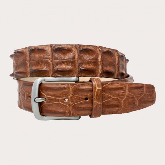 BRUCLE Cinturón casual en espalda de cocodrilo, marrón claro