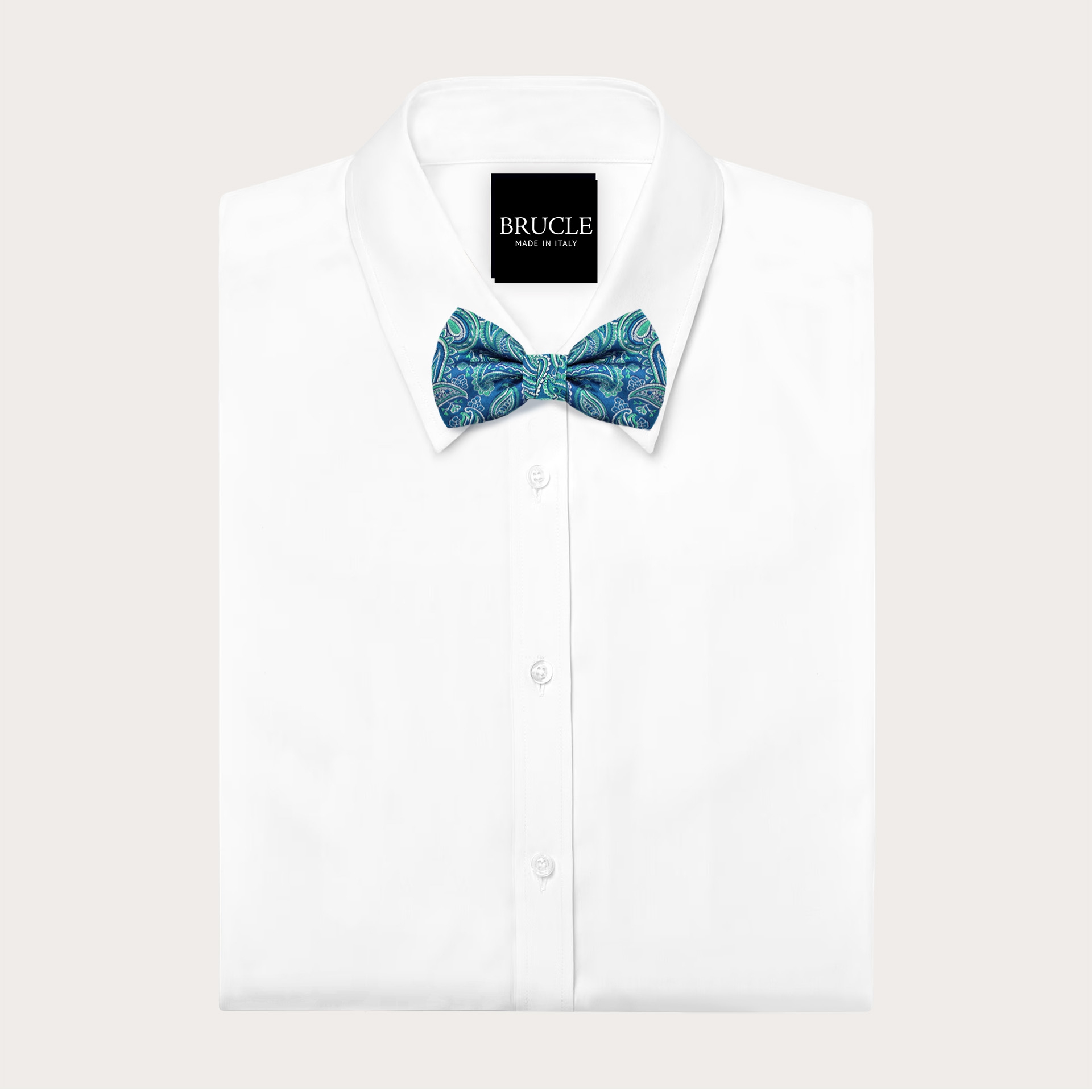 Elegante grün und blaue Paisley-Fliege für herren