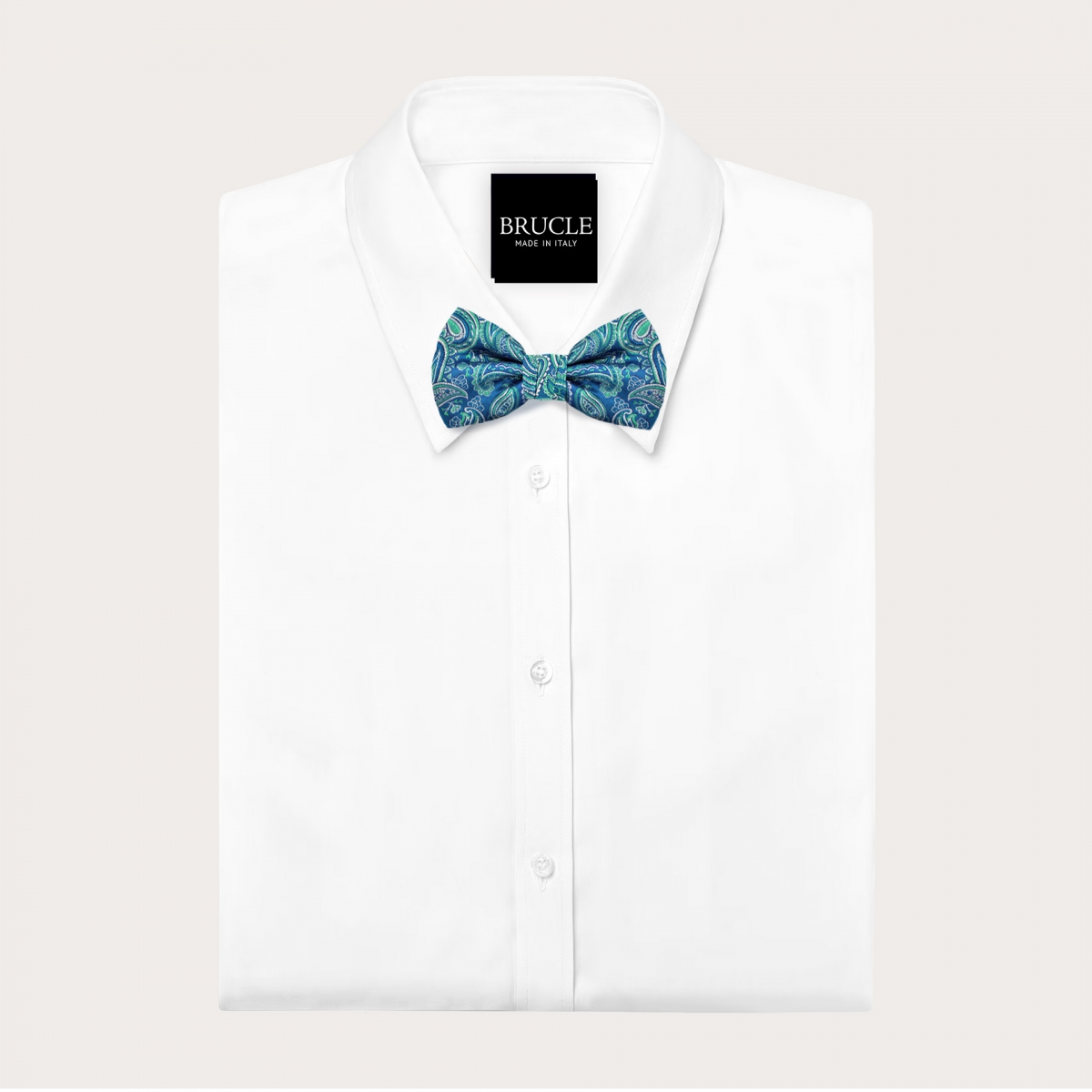 Elegant Blue and Green Paisley Bow Tie