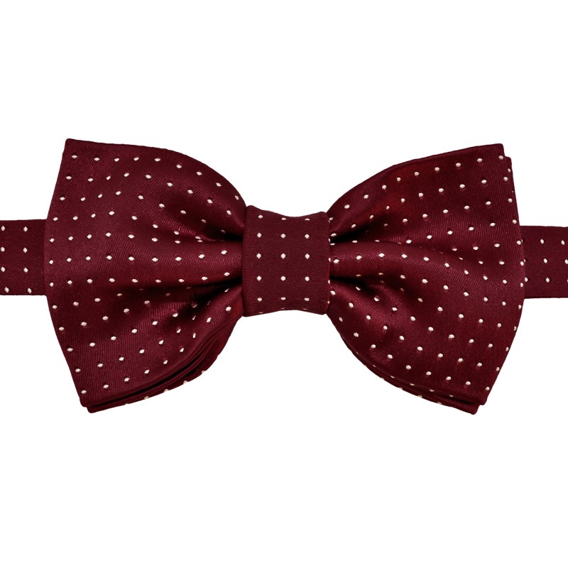 Papillon bordeaux Brucle